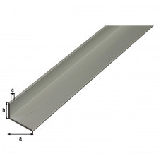 ALUMINIUM HOEK ZILVER 60X25X2MM 2MTR