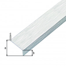 ALUMINIUM HOEK RVS LICHT 1MTR 20X10X1MM ZELFKLEVEND