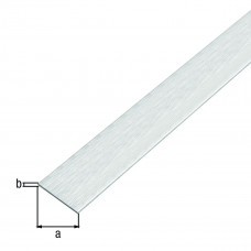 ALUMINIUM PLAT RVS LICHT 20X2MM 1MTR ZELFKLEVEND