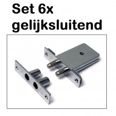 SET A 6 GLS INSTEEK BIJZETSLOT DX SKG**