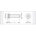 LAAGBOLKOP INBUSBOUT RVS A2 M12X55